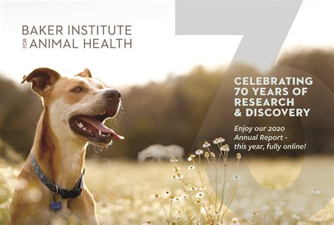 baker institute for animal health